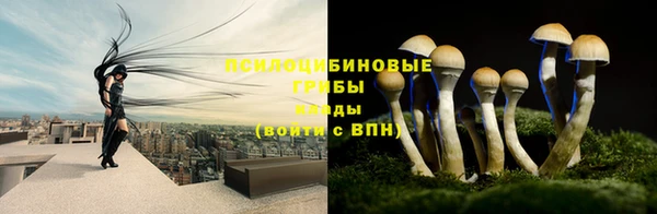 эйфоретик Алексеевка