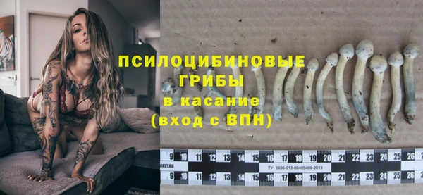 эйфоретик Алексеевка