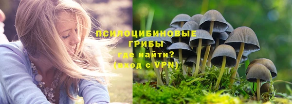 мяу мяу мука Алексин