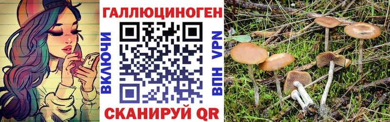Псилоцибиновые грибы MAGIC MUSHROOMS  Заводоуковск 