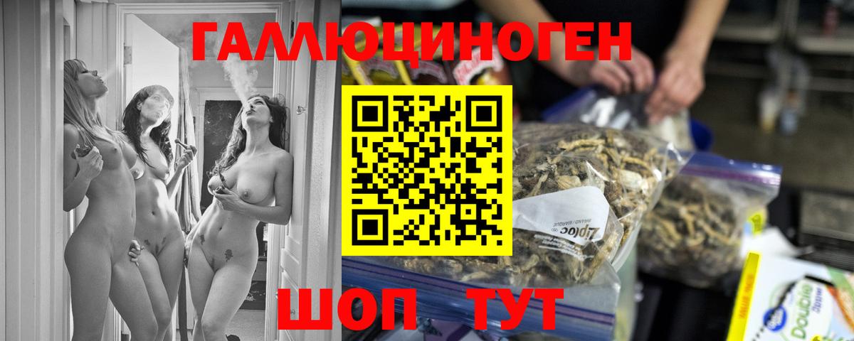 Галлюциногенные грибы Magic Shrooms  Вход с VPN  Заводоуковск 